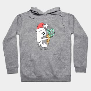 Surprise Christmas Gift from Lop Eared Bunny Hoodie